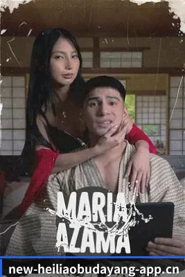 📺 关于本站
